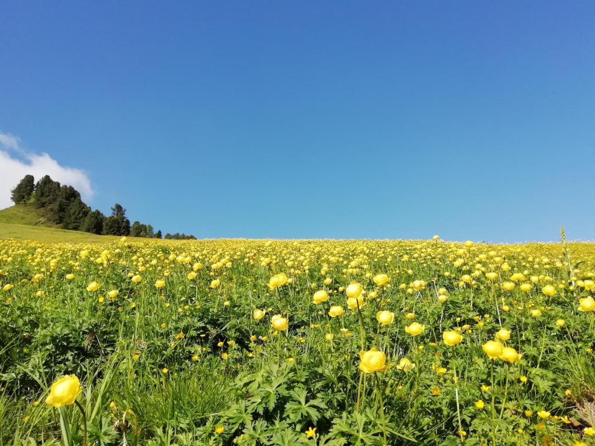 Dolomites B&B - Suites, Apartments And Spa Tesero Luaran gambar