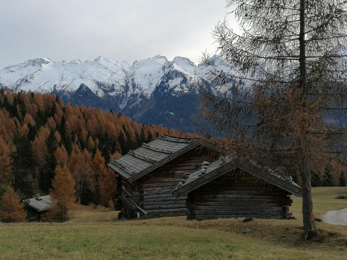 Dolomites B&B - Suites, Apartments And Spa Tesero Luaran gambar