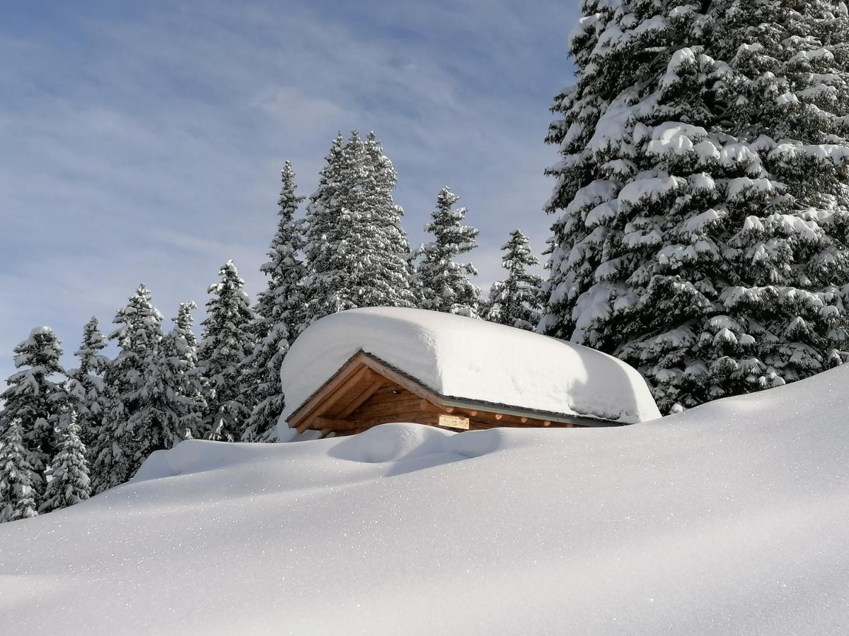 Dolomites B&B - Suites, Apartments And Spa Tesero Luaran gambar