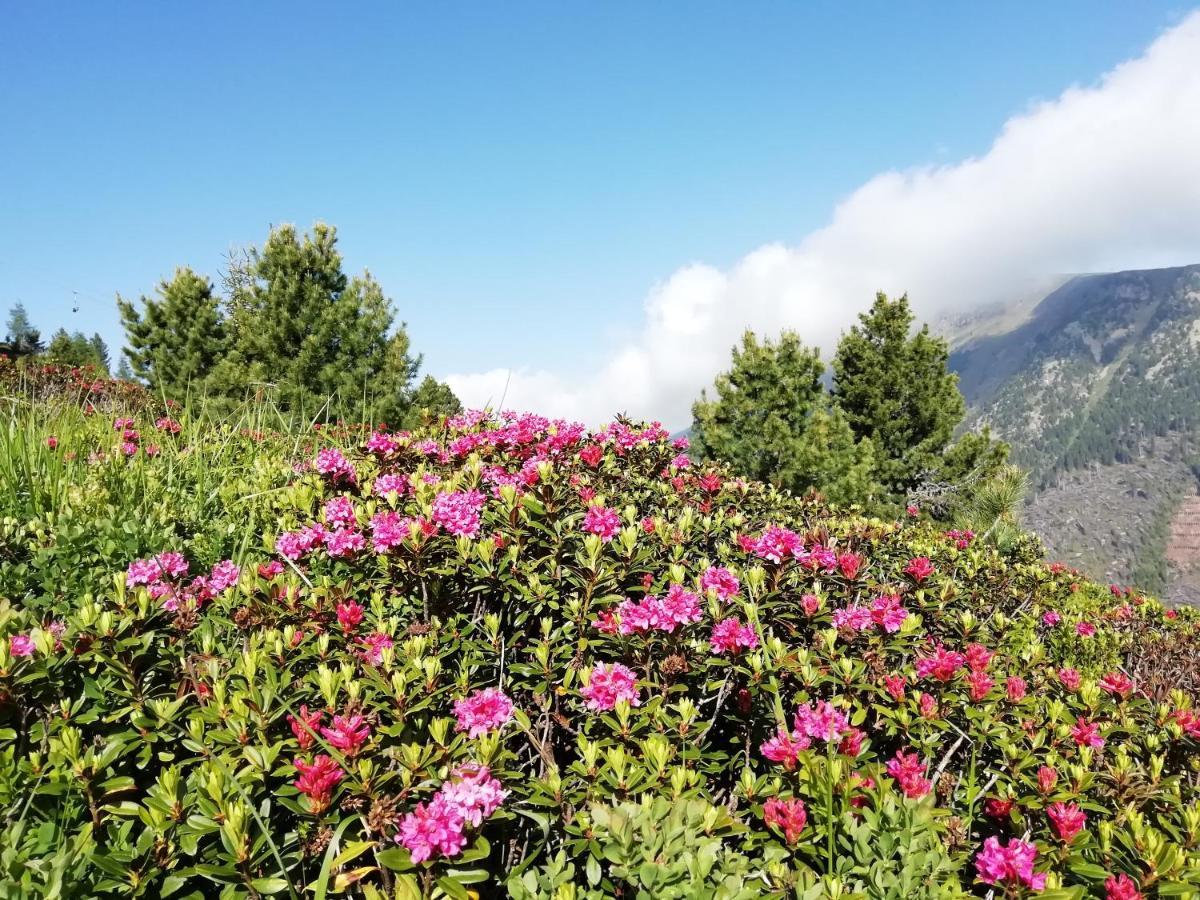Dolomites B&B - Suites, Apartments And Spa Tesero Luaran gambar