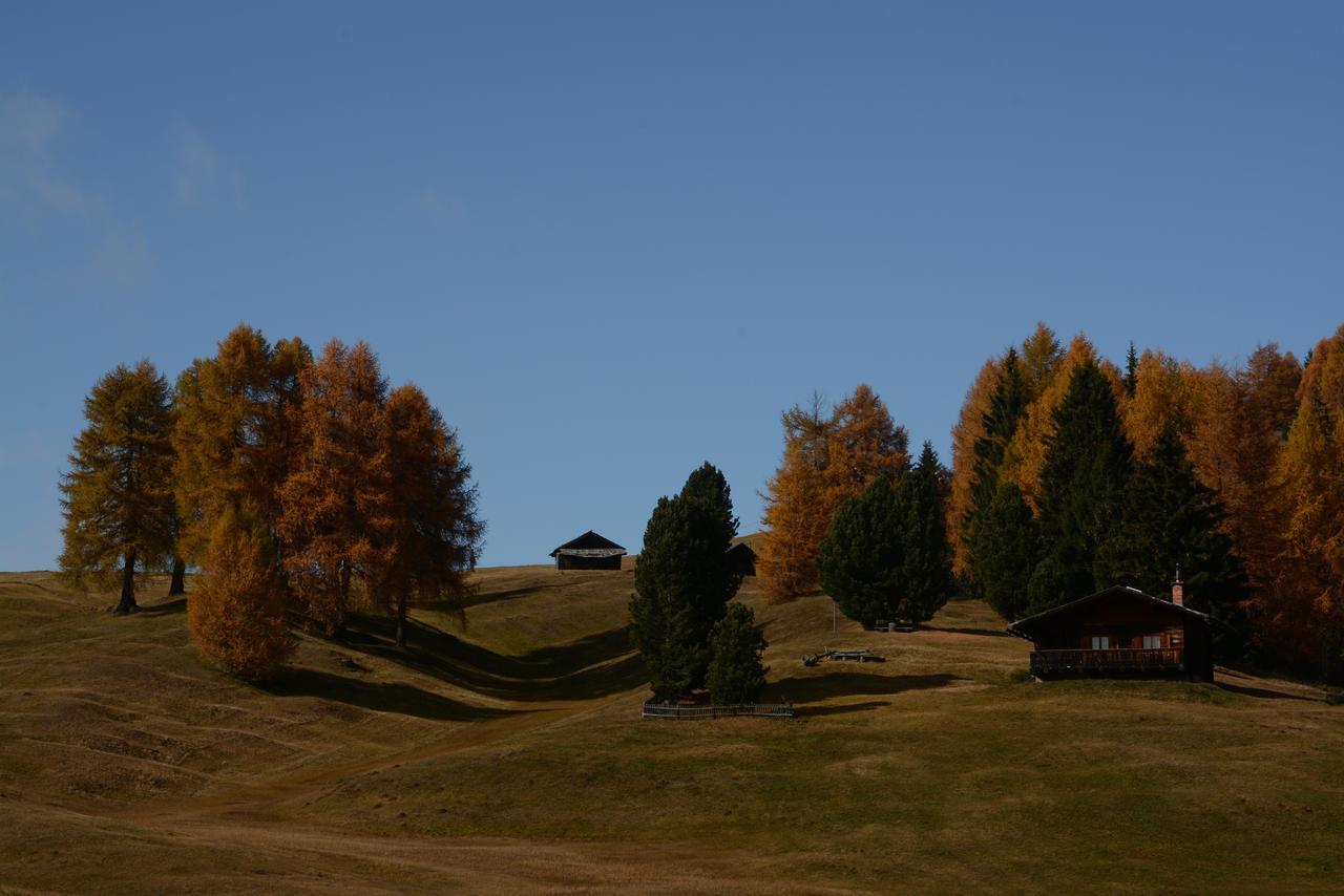 Dolomites B&B - Suites, Apartments And Spa Tesero Luaran gambar
