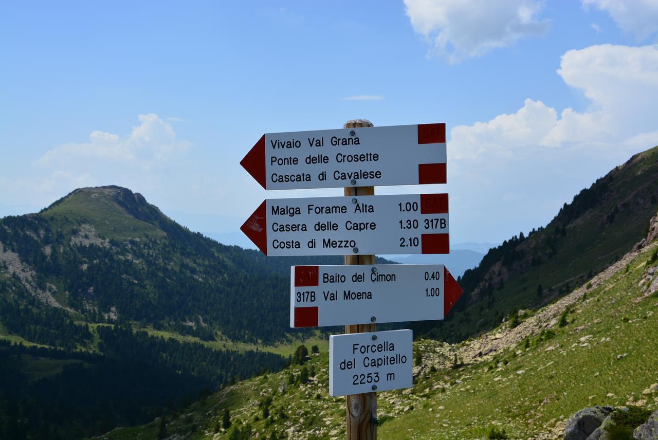 Dolomites B&B - Suites, Apartments And Spa Tesero Luaran gambar